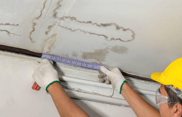Reliable Mold Remediation contractor in Sandown, NH by Water Damage Irwin